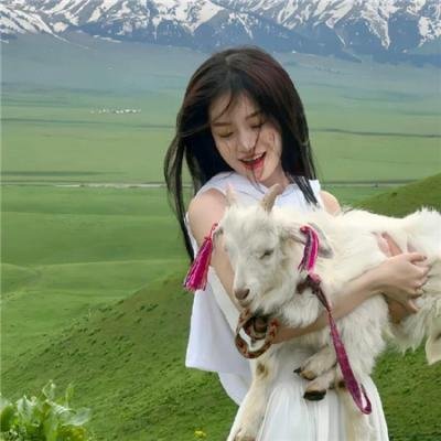 生活启示录 在线观看